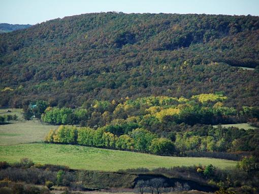 A day of reckoning-pembina-valley-fall-colors.jpg