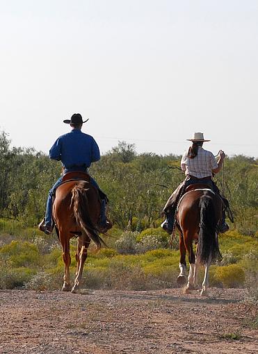 Cowboy Up-dsc_6791-2-640.jpg