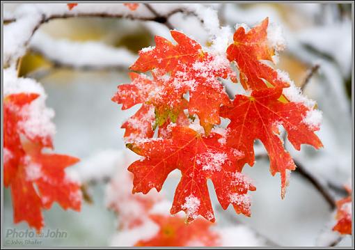 First Snow-_z3j1872.jpg