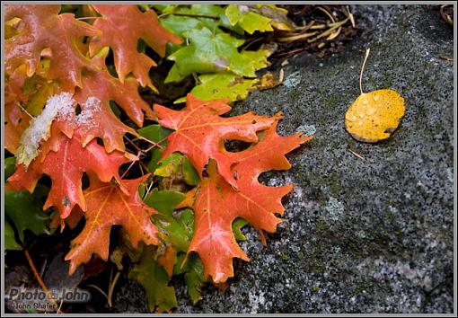 First Snow-_z3j1931.jpg