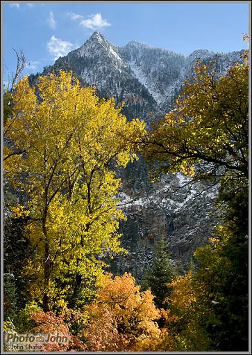 First Snow-_mg_4797.jpg