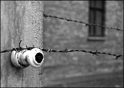 Auschwitz-Birkenau-au-01-jpg.jpg