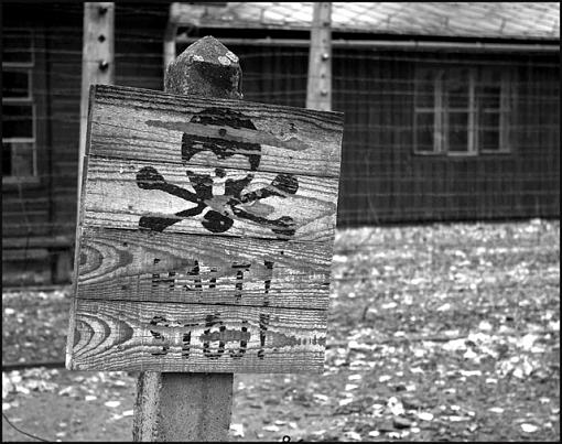 Auschwitz-Birkenau-au-05-jpg.jpg