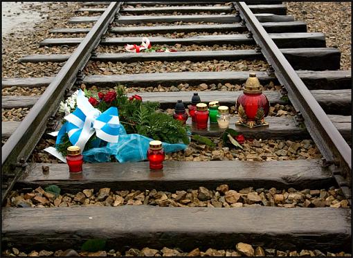 Auschwitz-Birkenau-flowers.jpg