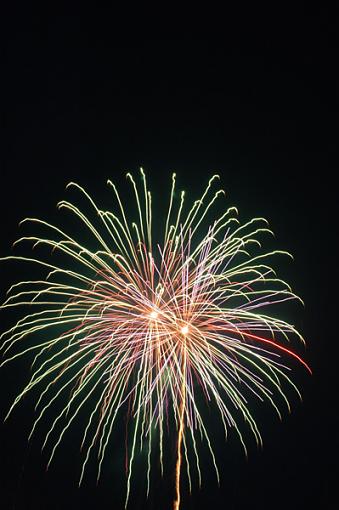 More Fireworks (no tripod)-fireworks_3sm.jpg