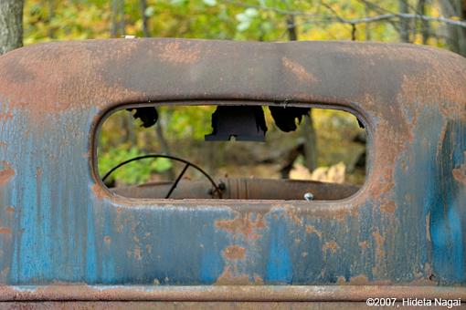 50mm Walk About-50mm-f1.8-rust.jpg