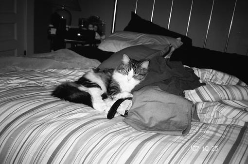 1 8-year old+1 Oly P&amp;S+1 roll TMAX 100=...-sky-2.jpg