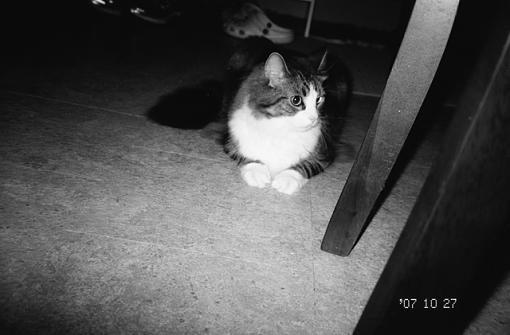 1 8-year old+1 Oly P&amp;S+1 roll TMAX 100=...-sky-4.jpg