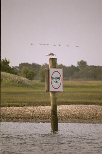 Mini Photo Gathering In Carteret County-dx-10a-pr.jpg