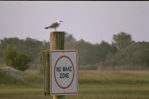 Mini Photo Gathering In Carteret County-dx-13a-pr.jpg