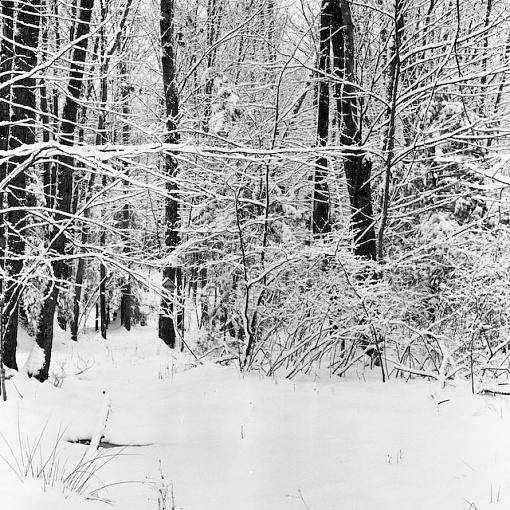 Walking in a Winter wonderland :)-12032007-12-5.jpg