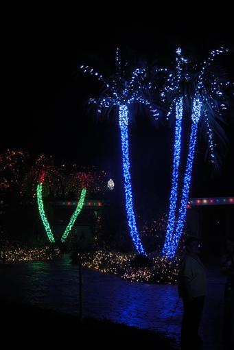 Even more Christmas Lights-outdoor_four.jpg