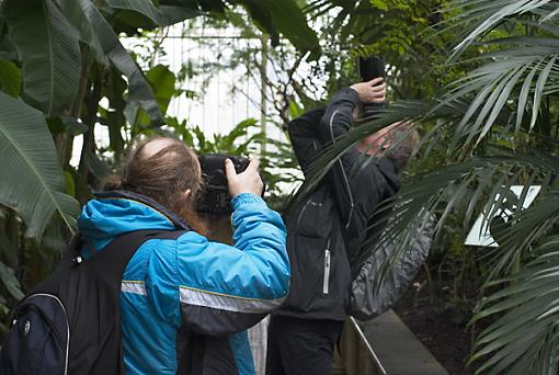 UK Get together in Kew Gardens-dontask.jpg