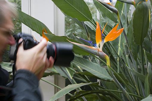 UK Get together in Kew Gardens-roger4.jpg