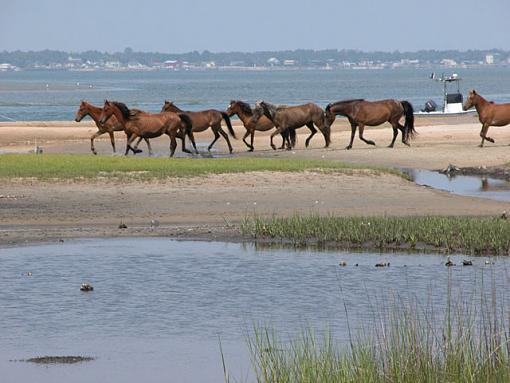 Mini Photo Gathering In Carteret County-wade-shore-14-pr.jpg