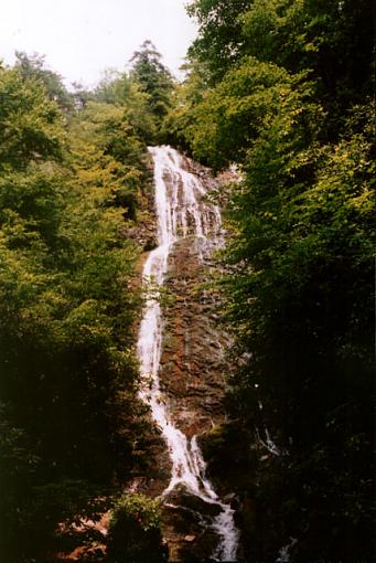 A few more smokies pics :)-mingofalls.jpg