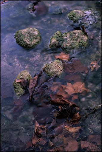 the new Velvia 50-image11-640.jpg