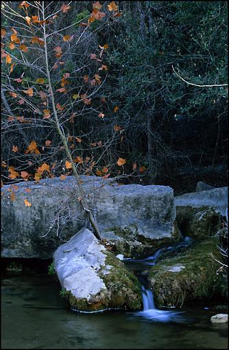 the new Velvia 50-image13-640.jpg