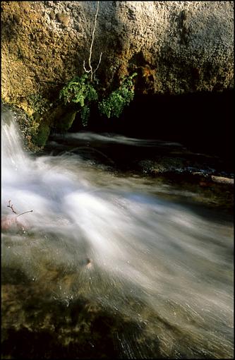 the new Velvia 50-image15-b-640.jpg