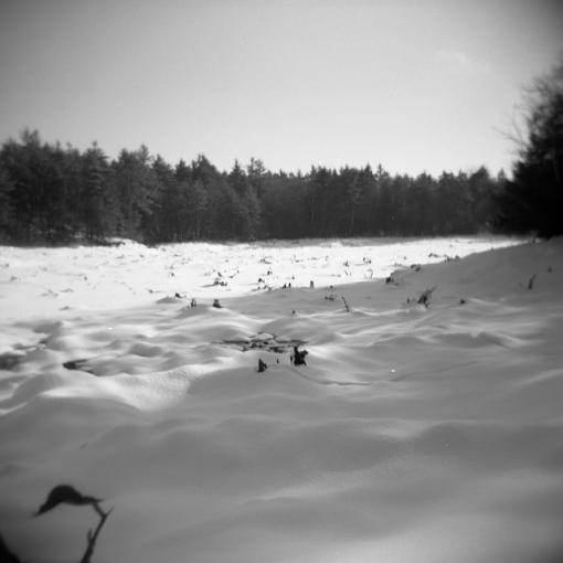 A Winter Walk In The Woods-12292007-8.jpg
