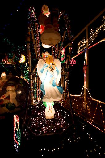 Garden of de-lights-img_1677.jpg