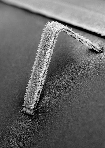 Frosty Morn-dsc_9753-2-bw-640.jpg