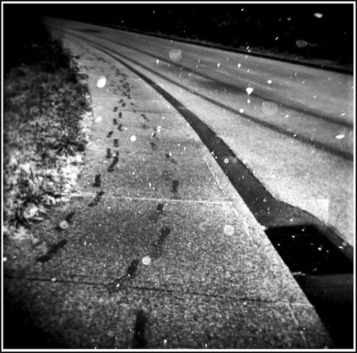 a couple holga shots.-white-path-copy.jpg