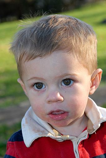 Grandsons Galore-dsc_9364-2-640.jpg
