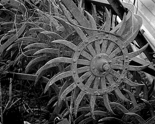 Final Resting Place......-dsc_1106-3bw-640.jpg