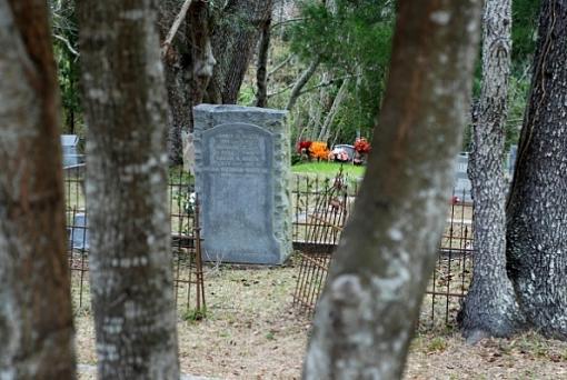 Gateway to heaven-grave-tree.jpg