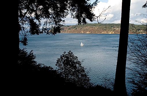 A nice day on Puget Sound-sailing.jpg