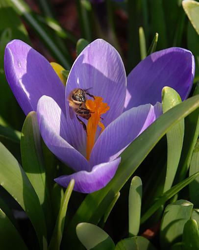 Could It Be Spring???-dsc_1659-2-640.jpg