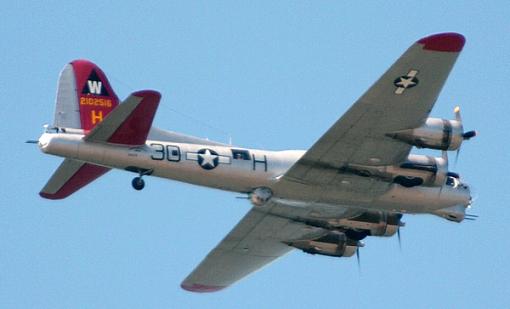 A lucky grab-b17.jpg