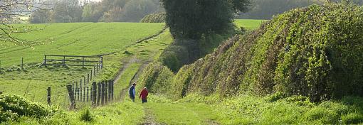 evening stroll-img_0855.jpg