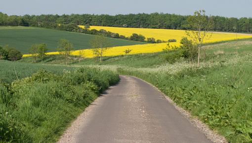 the road to work-img_0997.jpg