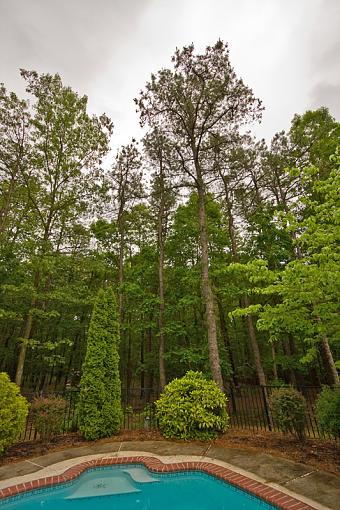 My back yard w/ the Sigma 30mm F/1.4 EX DC HSM and Canon EF-s 10-22mm F/3.5-4.5 :-)-img_4372.jpg