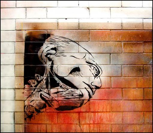 Amazing Urban Art-dissected-head-jpg.jpg