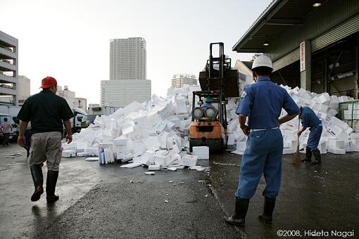 Japan!  My journey home.-fma-4-1572-.jpg