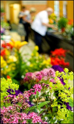 Judging at the Horticultural show-show-03-jpg.jpg