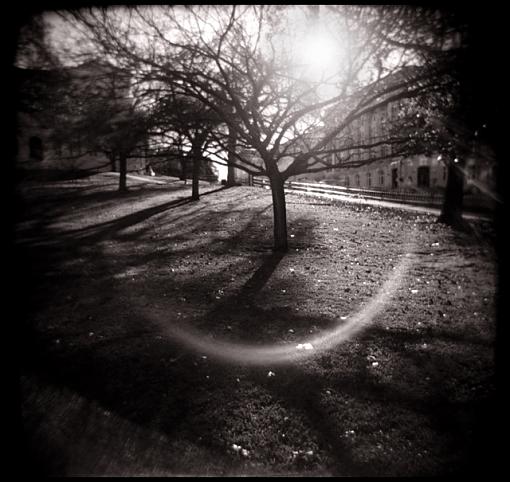 Holga Flare - Finally!-flare-640.jpg