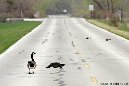 late road home-long-road.jpg