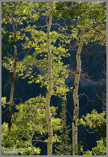 Early Fall Hike-_9133944.jpg