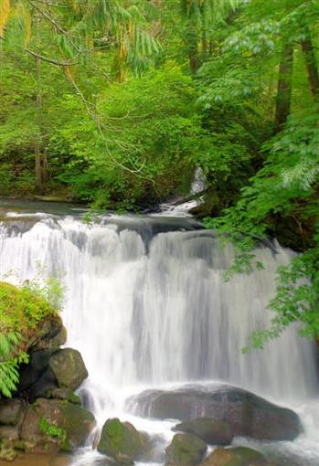 Bridges And Water Falls-14th-4-1-_1-1-_2-1-_3-1-medium-.jpg