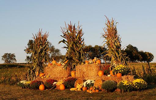 Halloween-dsc_2336-2-800.jpg