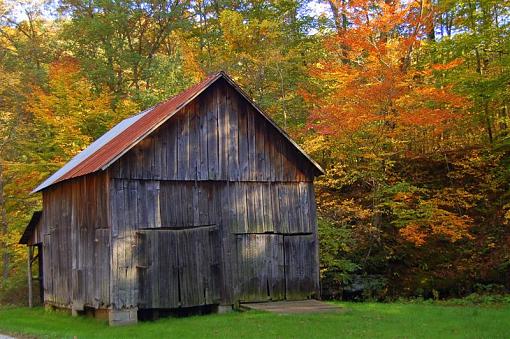 Fall in Ohio-dsc_3114-medium-.jpg