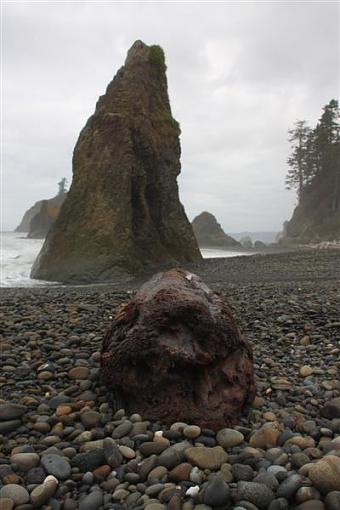 The Rugged Washington State Coast-4-medium-.jpg