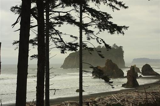 The Rugged Washington State Coast-11-small-.jpg