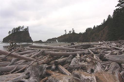 The Rugged Washington State Coast-14-medium-.jpg