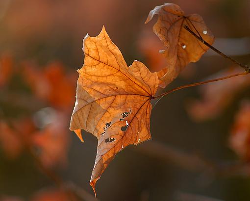 Small Taste of Fall-dsc_3227-2-800.jpg