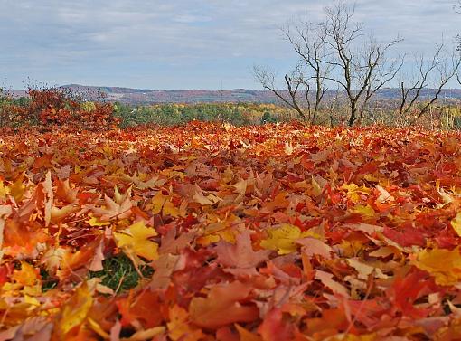 Small Taste of Fall-dsc_0293editresize.jpg